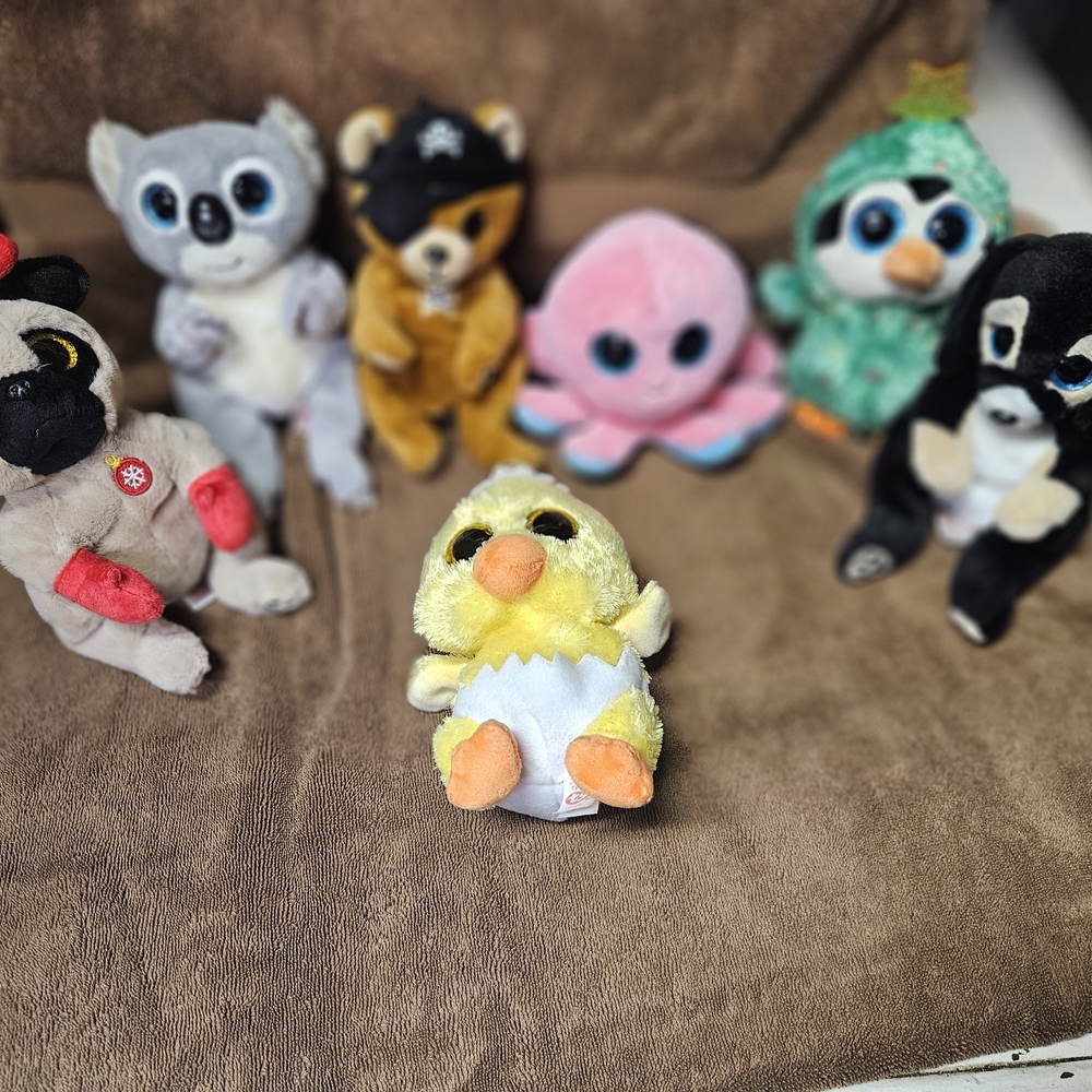 Ty Plush Lot 7